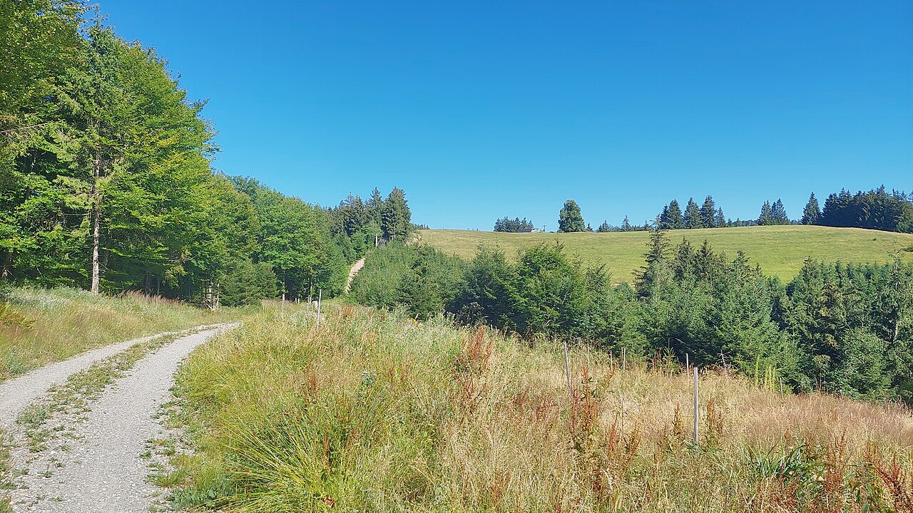Wolfsberg of the Adelegg, view from west