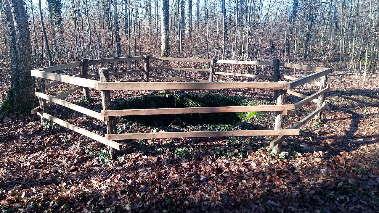 Wolfsgrube (Naturdenkmal in Schöntal, Baden-Württemberg)