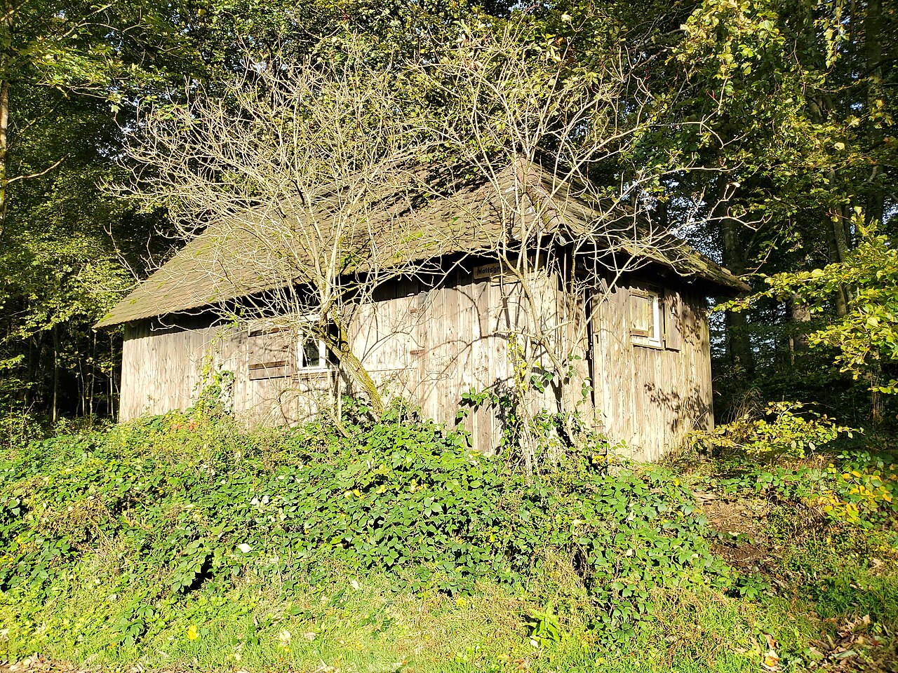 Wolfsgruben-Hütte bei Bleibach/Schwarzwald - Übersicht