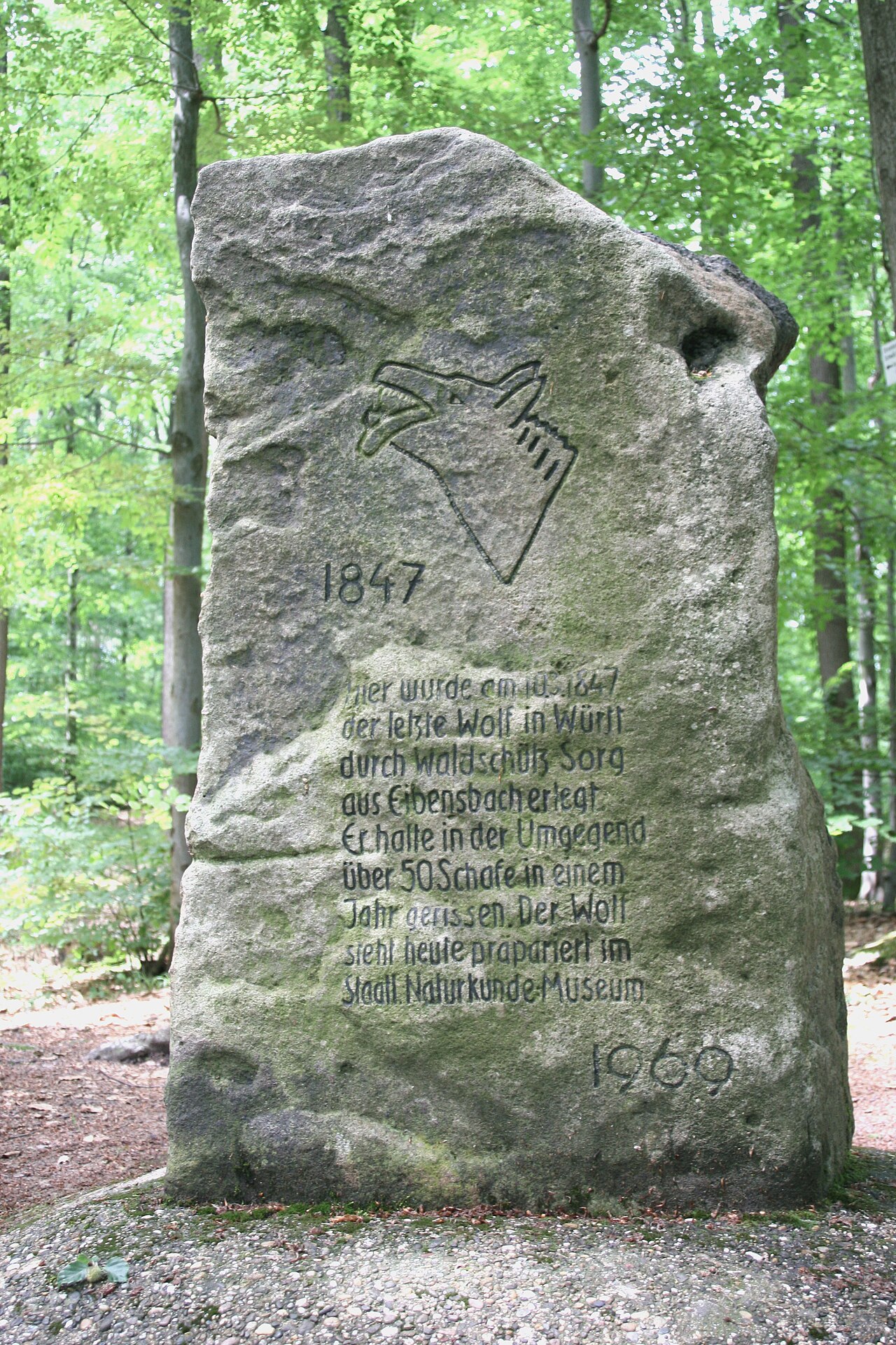 Wolfsstein im Naturpark Stromberg-Heuchelberg