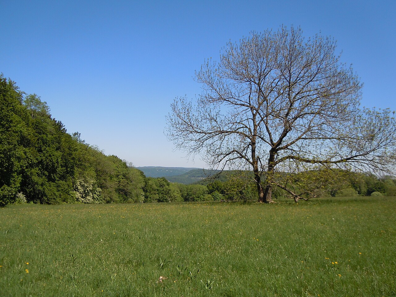 Naturschutzgebiet Wonhalde-Spielberg (Nr