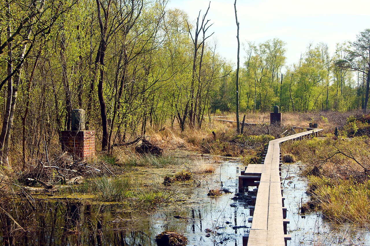 Foto von Wooldse Veen