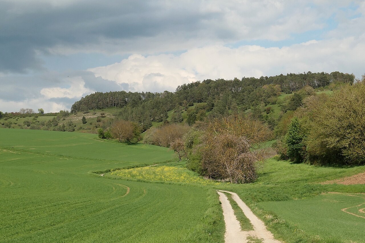 Naturschutzgebiet Wormental nordöstlich von Werbach (Baden-Württemberg, Main-Tauber-Kreis)