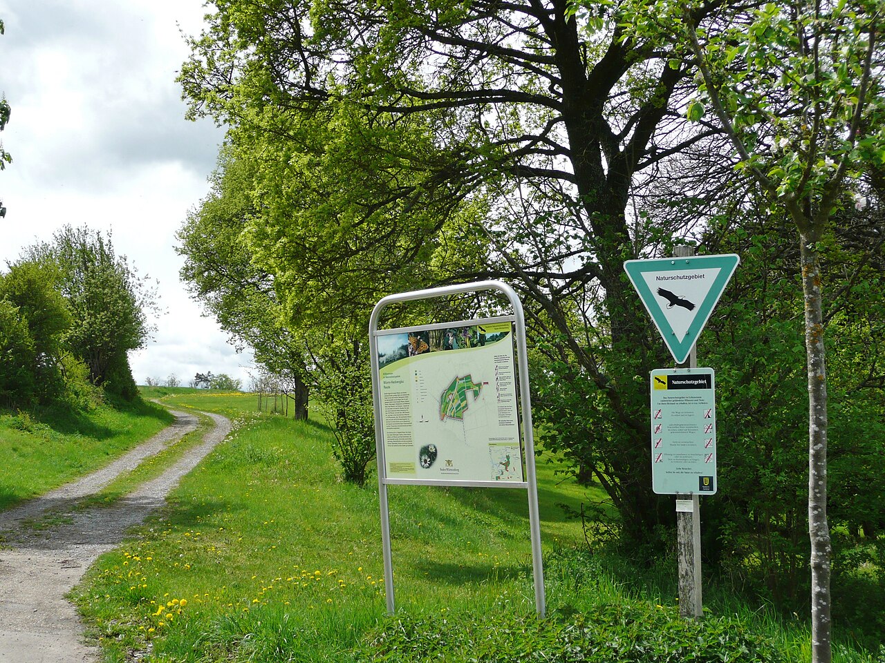 Würm-Heckengäu: Reute