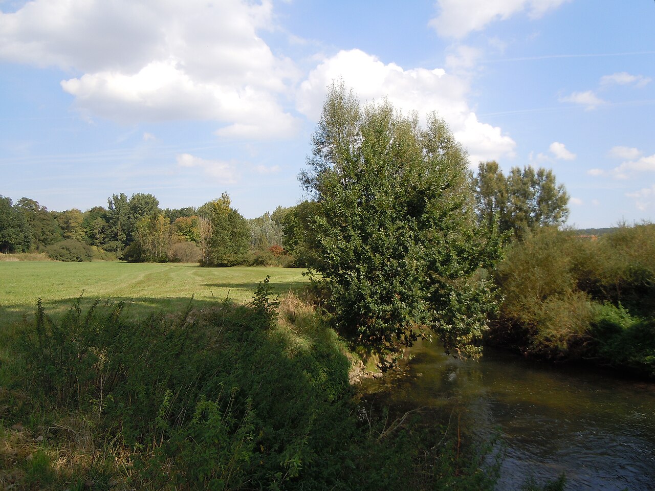 Gesamtansicht des Naturschutzgebiets "Würmaue am Heuberg" (Schutzgebiets-Nr
