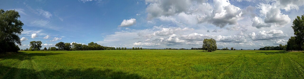 Panoramanansicht des Wulfener Bruchs