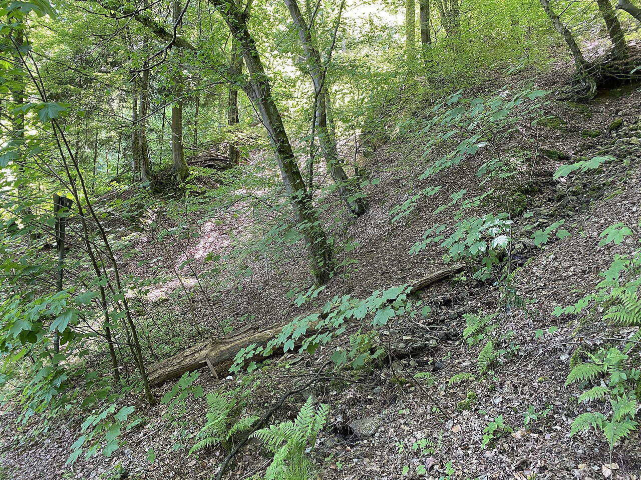 Steilhang der Wupper