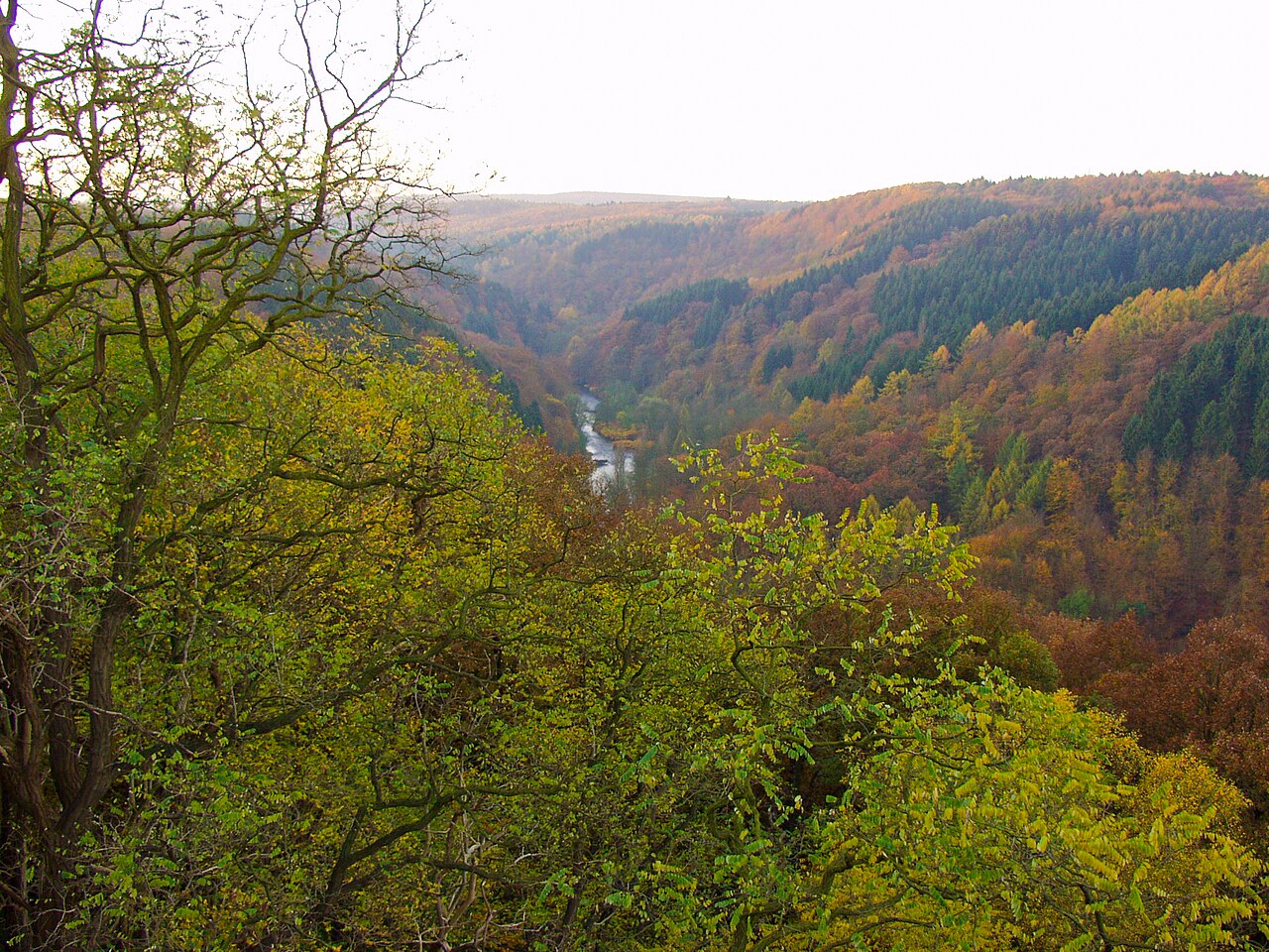 Foto von Wupper und Wupperhänge südlich Müngsten