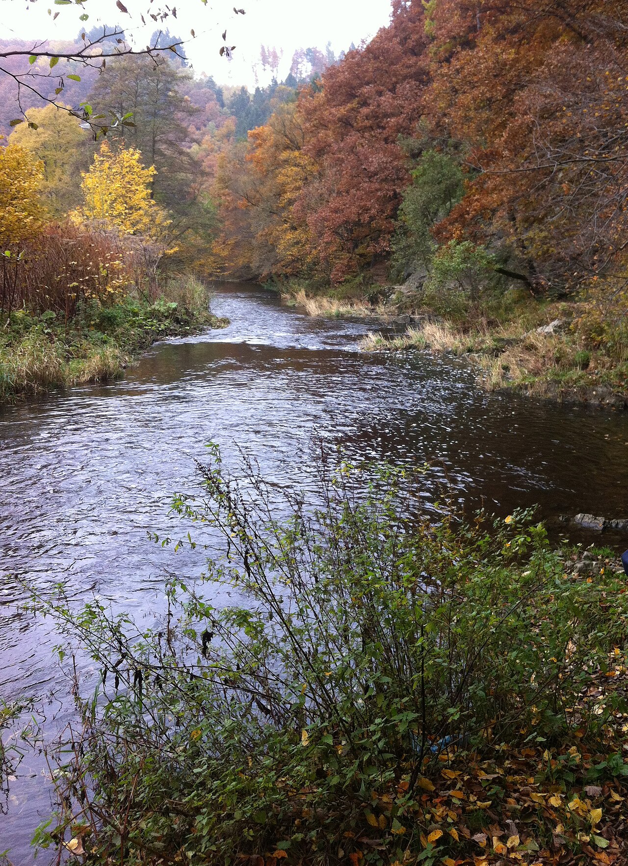 Ufer der Wupper an der Wupperschleife, Beyenburg