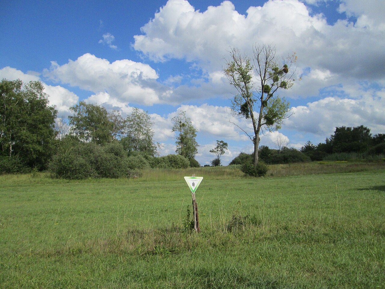 Naturschutzgebiet „Wusterhang und Beierwies“ bei Fechingen, Teilgebiet Beierwies
