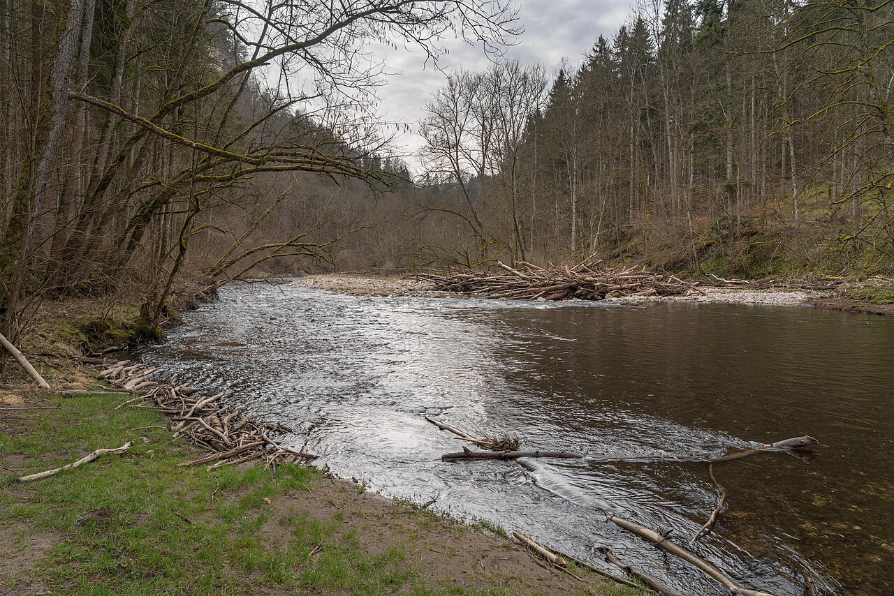 Im Naturschutzgebiet Wutachflühen