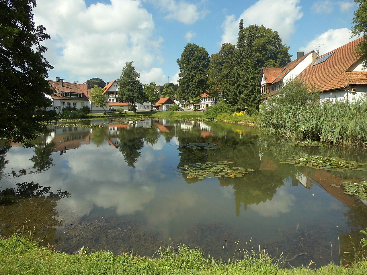 Das flächenhafte Naturdenkmal Zaininger Hüle mit Baumbestand (Schutzgebiets-Nr