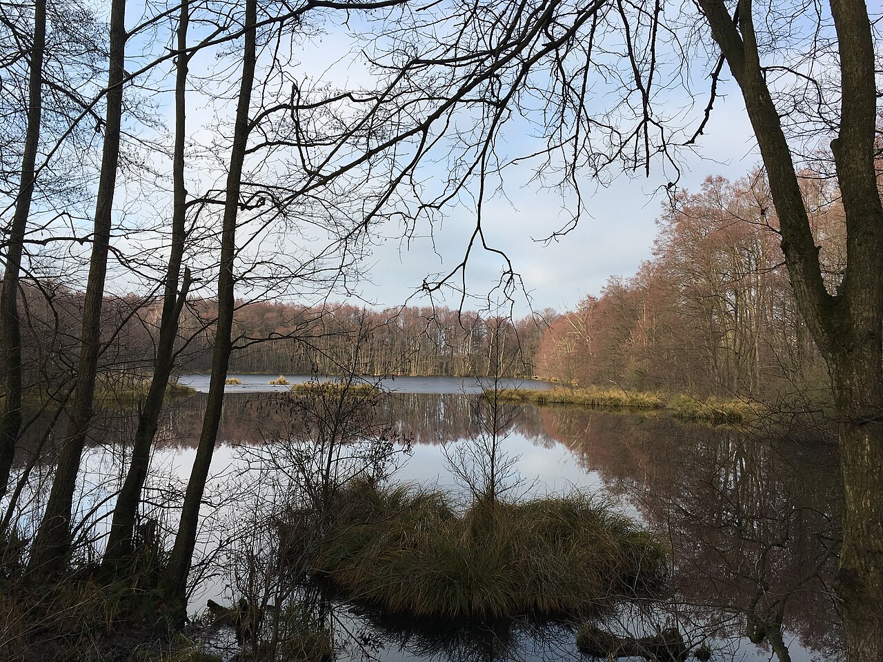 Das Naturschutzgebiet Zarth ist ein rund 262 Hektar großes Gebiet in Treuenbrietzen, Brandenburg