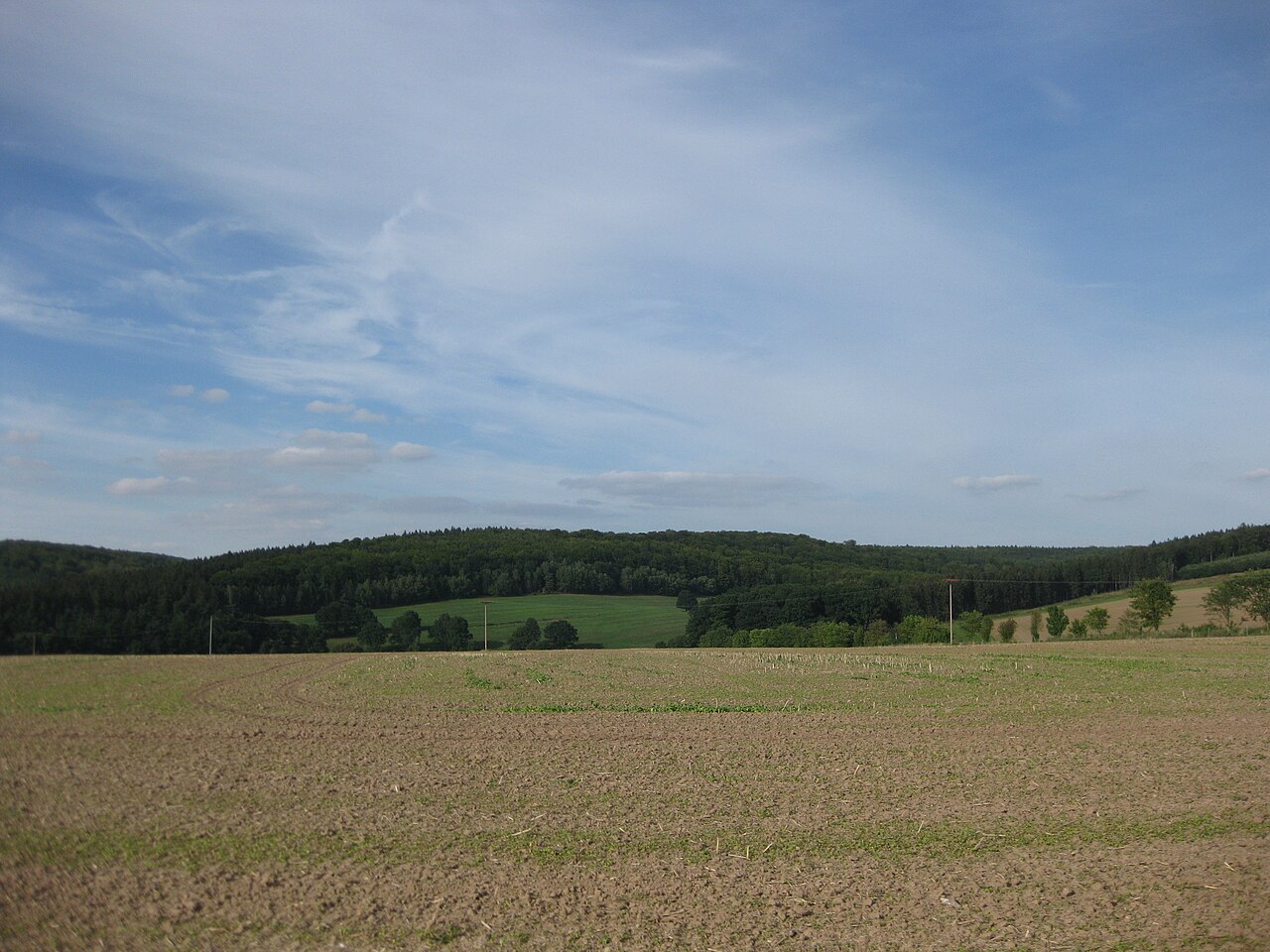 Der Zehnsberg von Süden gesehen
