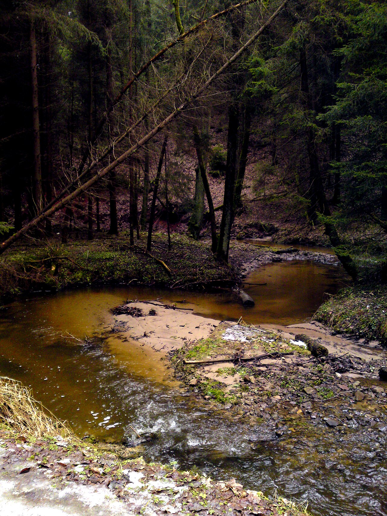 Zeitzbach im Zeitzgrund