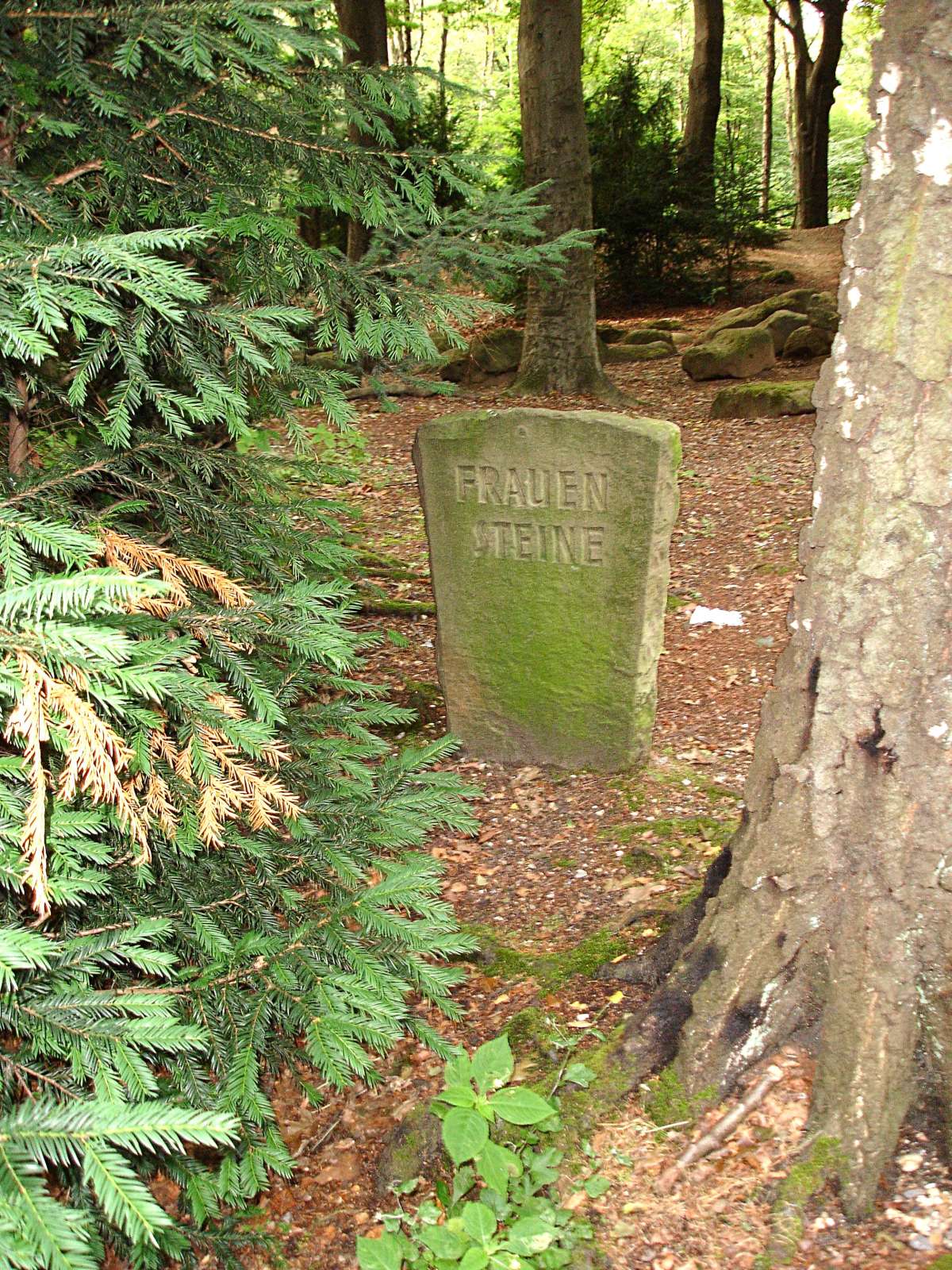 Hinweis auf die "Frauensteine", eine Gesteingruppe im Aaper Wald in Düsseldorf
