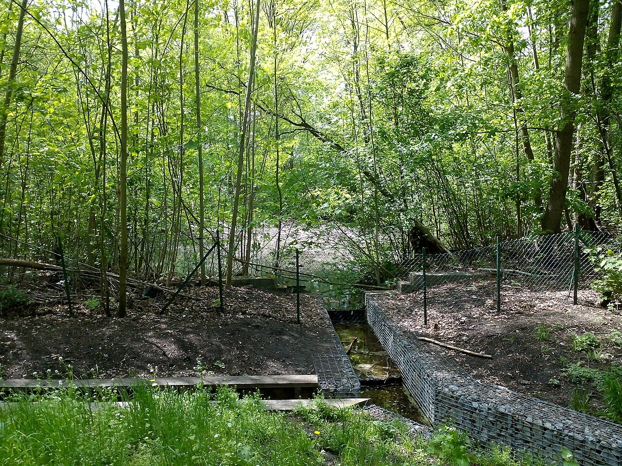 Ziegeleigraben am Albtalweg, Naturschutzgebiet in Berlin-Reinickendorf