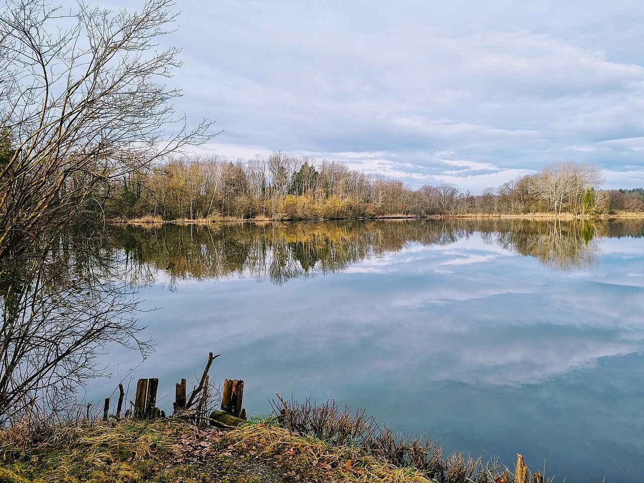 Foto von Ziegeleiweiher Rickelshausen