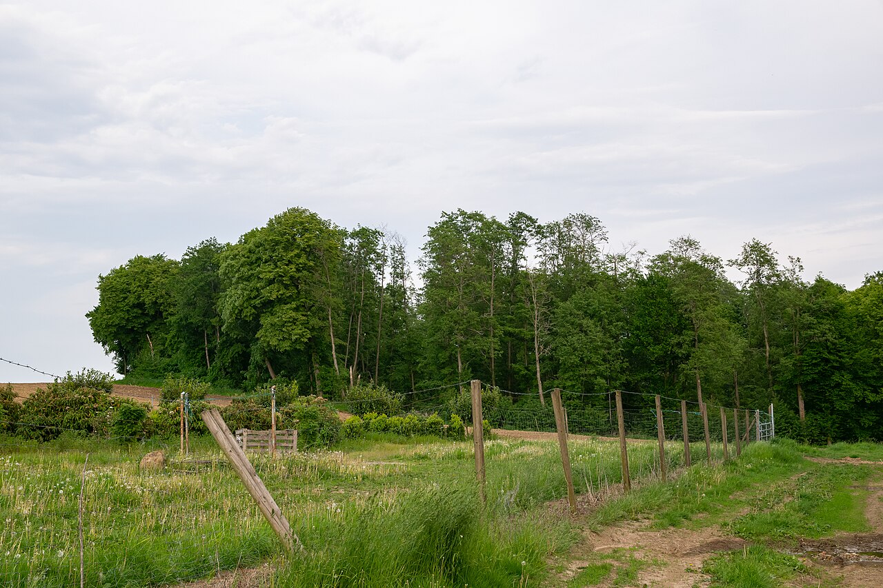 Naturschutzgebiet Ziegenfeld in Steinheim (Westfalen), Kreis Höxter