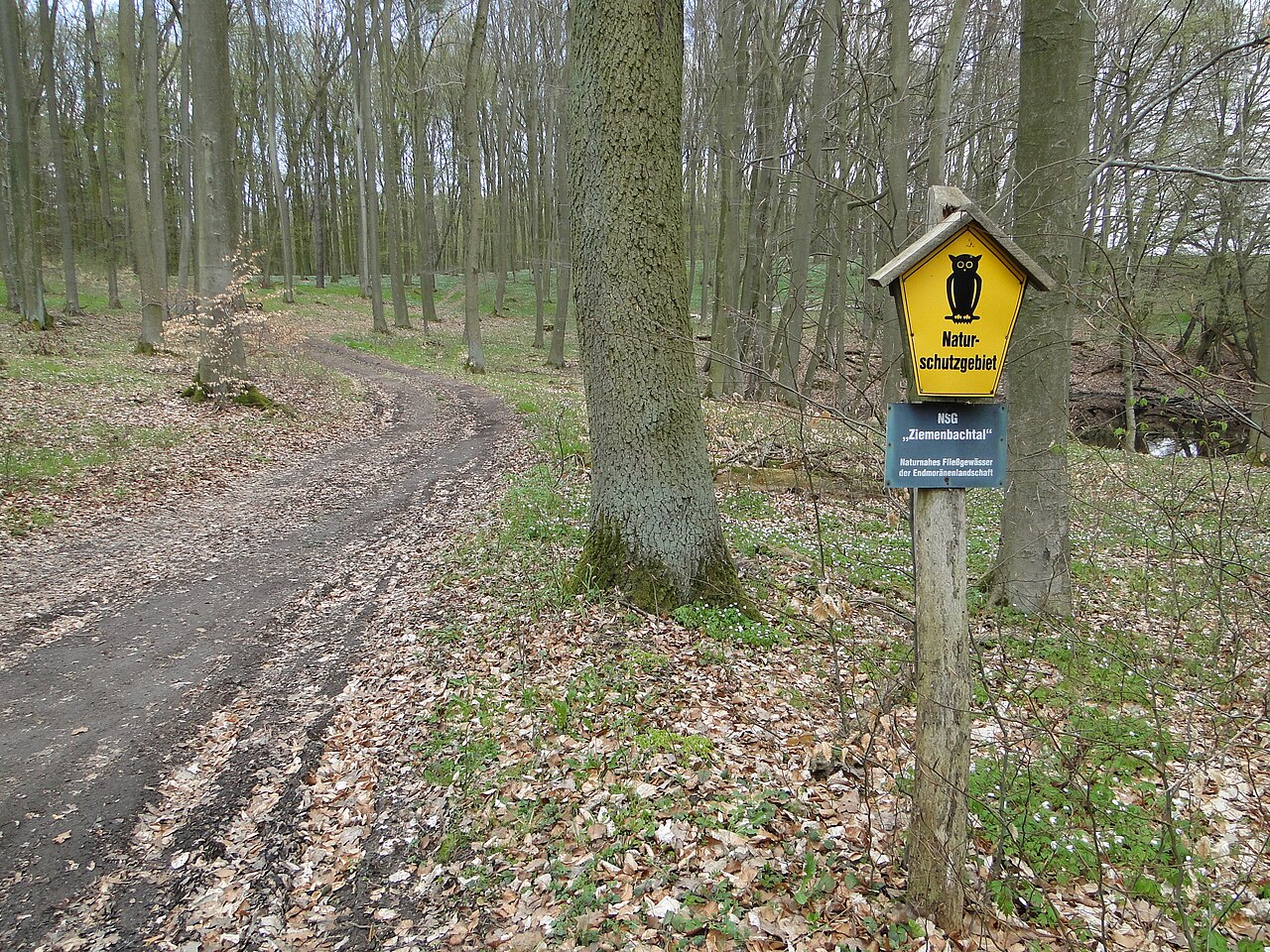 Naturschutzgebiet Ziemenbachtal, Mecklenburg-Vorpommern