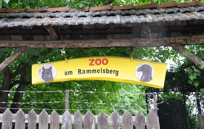 Zoo am Rammelsberg Kassel