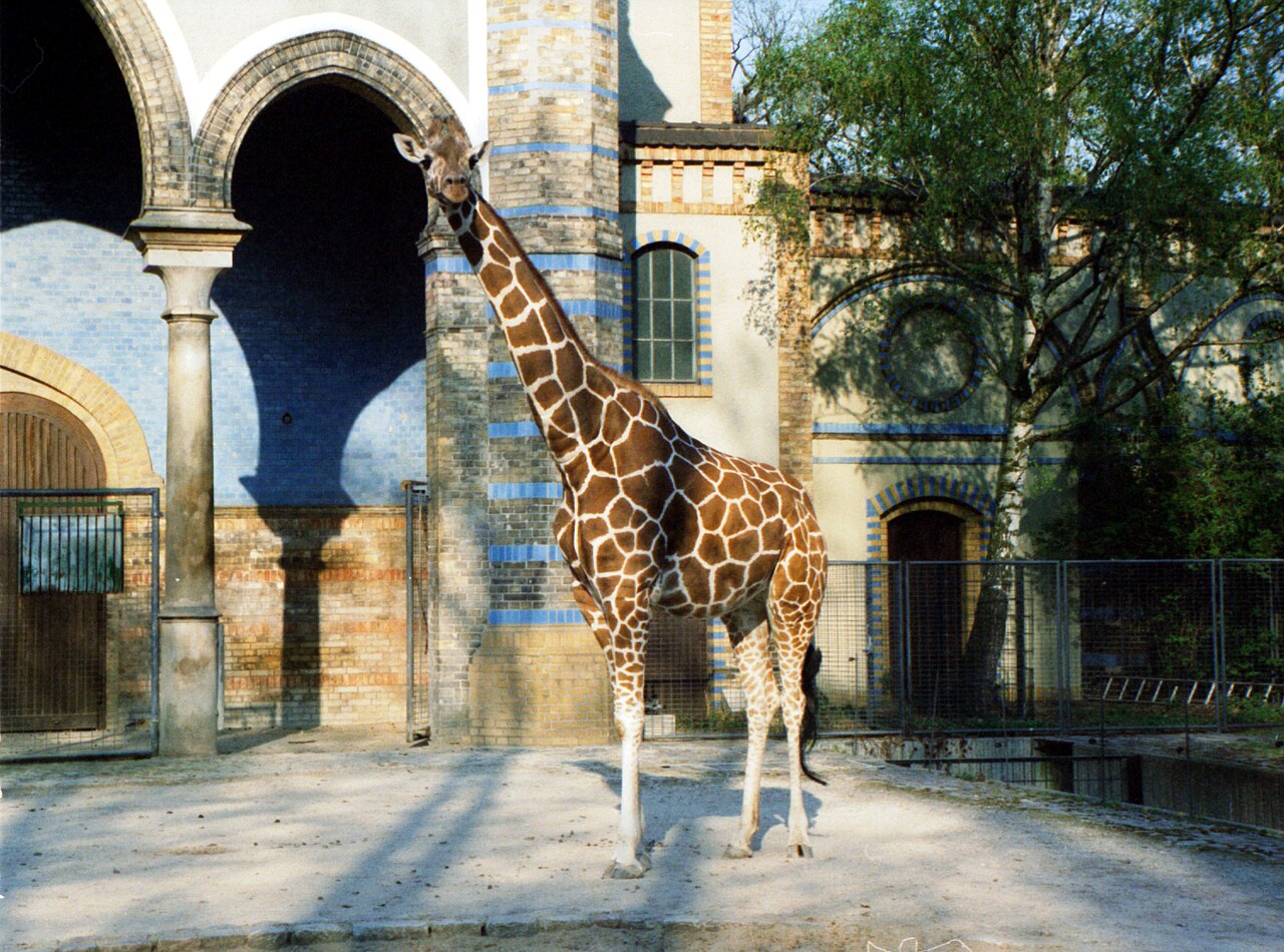 Picture taken at Zoological Garden of celbrkfjBerlin