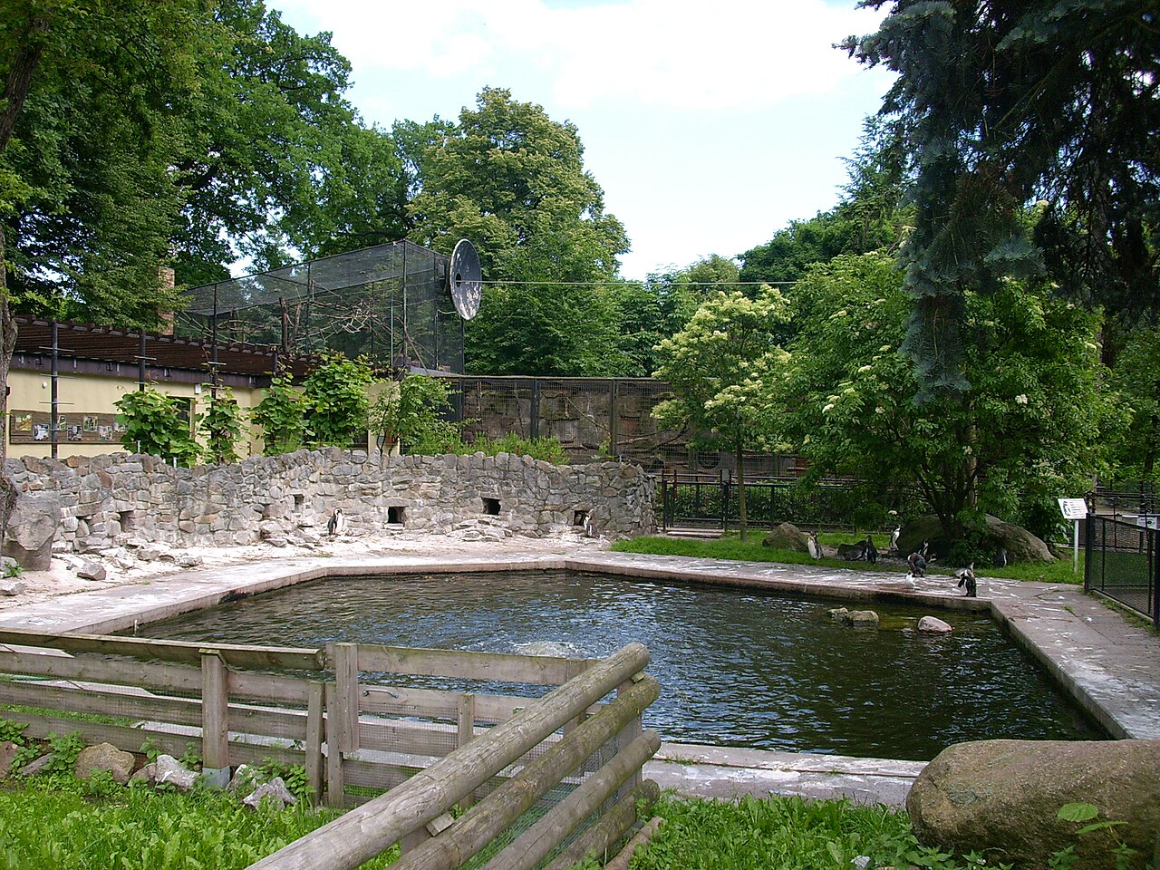Pinguinanlage im Zoo Hoyerswerda