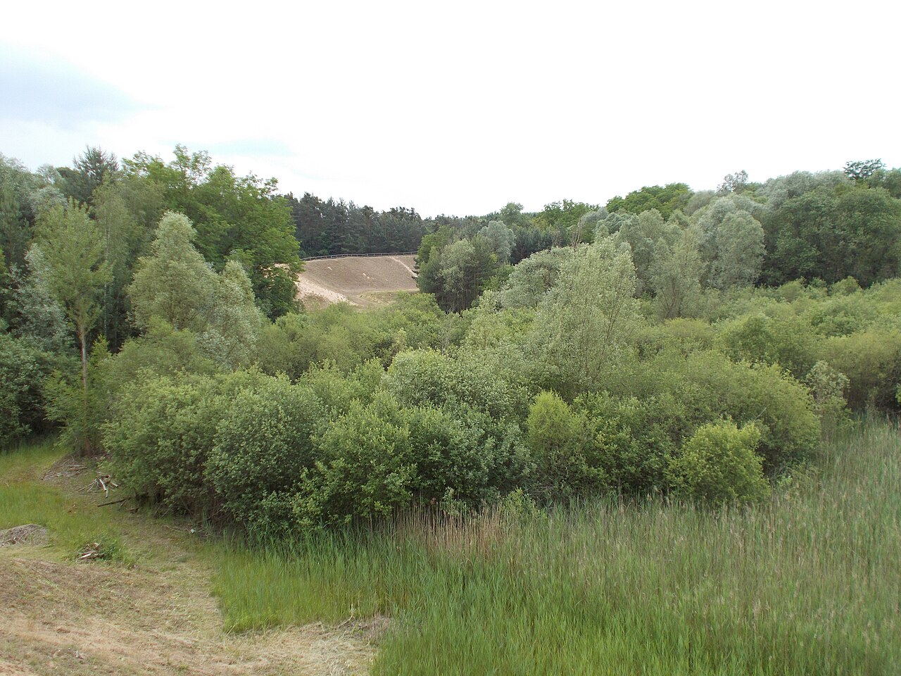 Naturschutzgebiet Zugmantel-Bandholz (NSG 2088), Blick von Norden auf die ehemalige Sandgrube