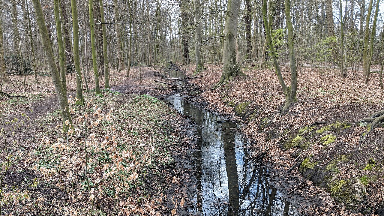 Bachlauf im Wandsbeker Gehölz, Frühjahr 2020