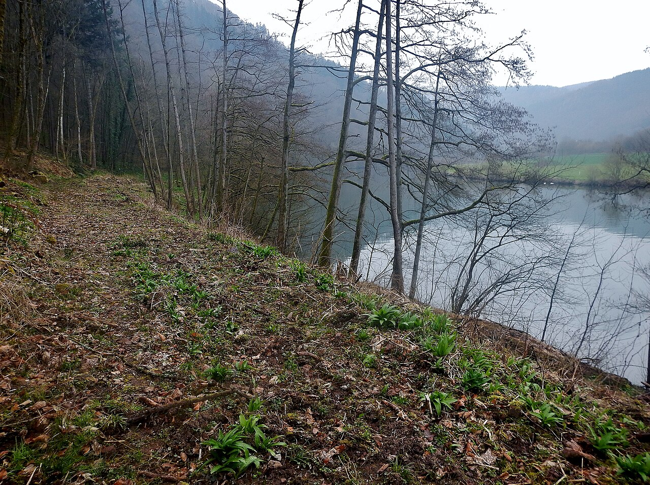 Das ist eine Sackgasse und nicht der 366 km lange Neckartalradweg